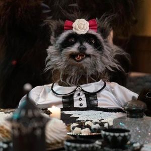 Meet your Posher, Suzanne